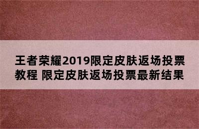 王者荣耀2019限定皮肤返场投票教程 限定皮肤返场投票最新结果